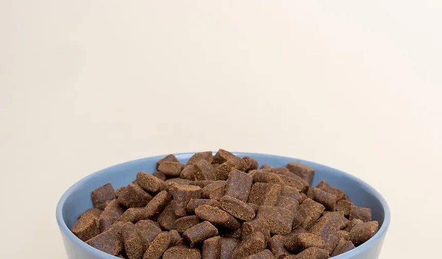 Melhor Comida Caseira para Cães com Pancreatite