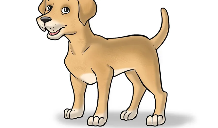 Efeitos Colaterais da Vacina contra Cinomose em Cães: Considerações a Longo Prazo