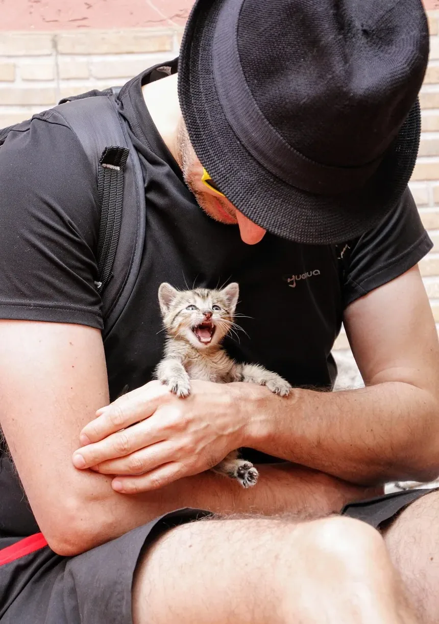 Como Diferenciar Caspa de Gato de Ovos de Pulga